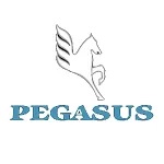 Pegasus